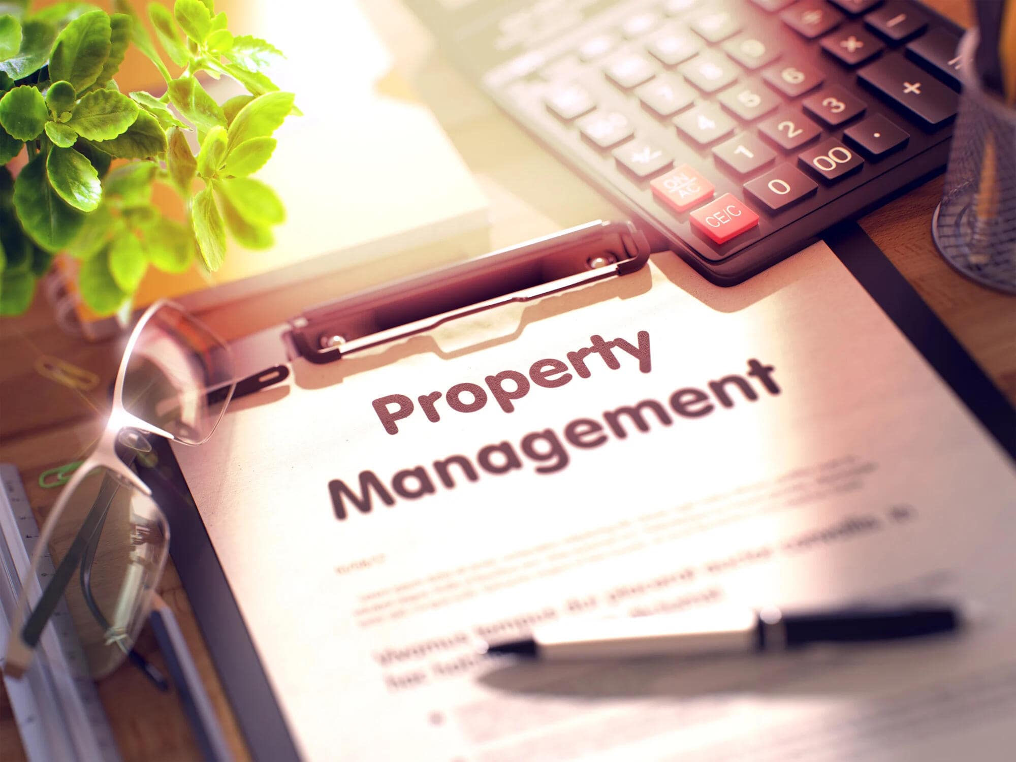 How To Maximize Rental Income With a Property Management Company